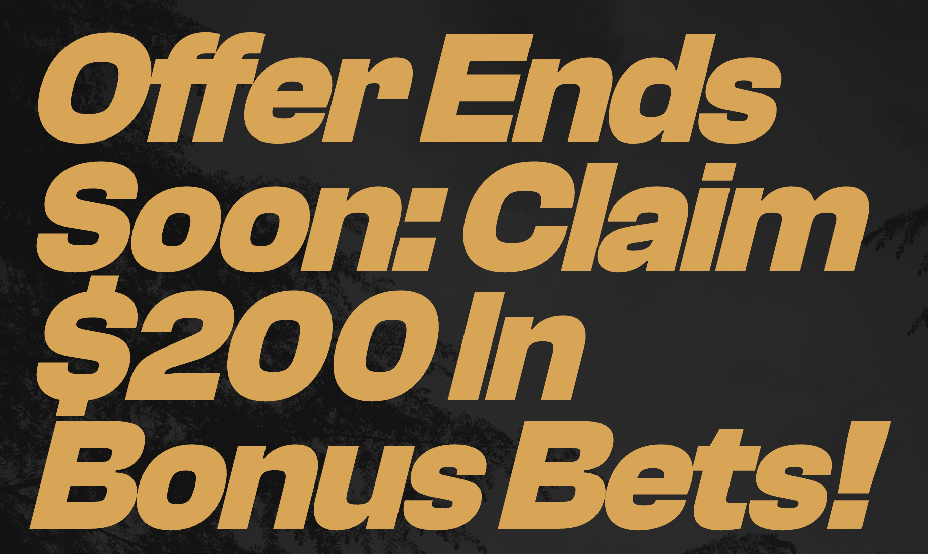 Bet $5 on the Bears vs. Vikings & Get $200 in Bonus Bets